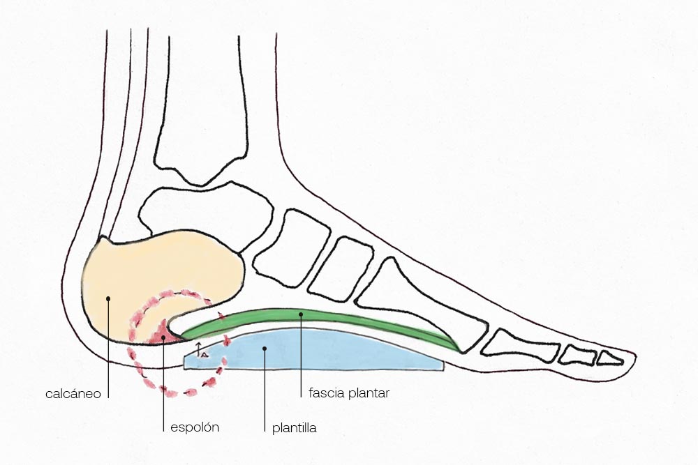 judo_plantillas3d_02c plantillas judo