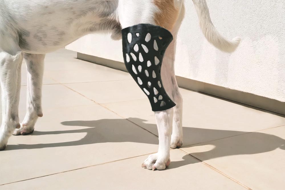 ferula_rodilla_perro1b ferula 3d animales almoradi