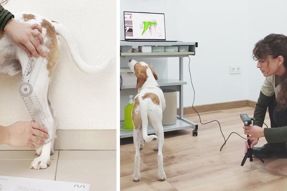 ferula_rodilla_perro4 Ortopedia veterinaria Almoradí Alicante