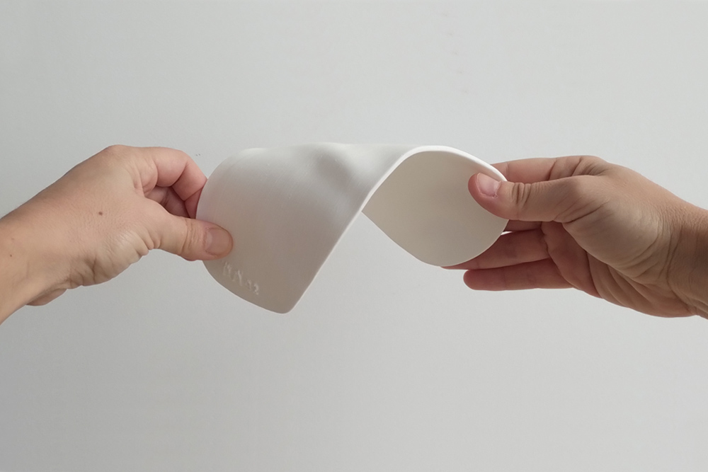 PlacaCaparazon3 Placa caparazón tortuga